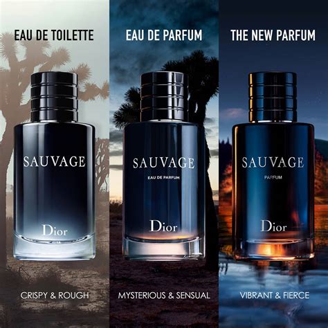 fragrances like dior sauvage|dior sauvage fragrance description.